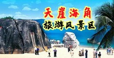 日本真人性爱网站免费海南三亚-天崖海角旅游风景区